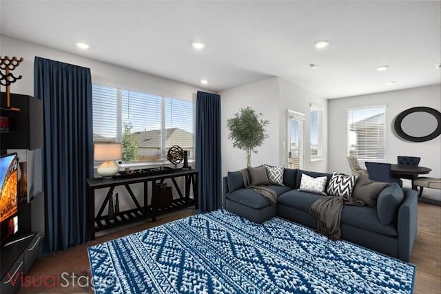 living room featuring dark hardwood / wood-style floors and a healthy amount of sunlight