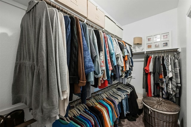 spacious closet featuring carpet flooring