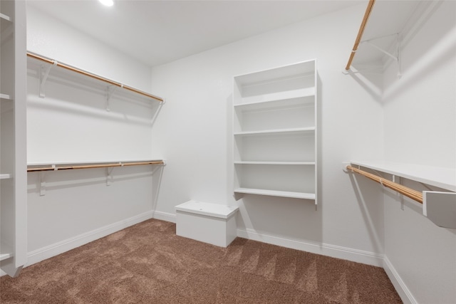 spacious closet with carpet