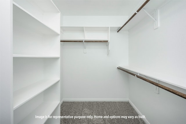 spacious closet with carpet flooring