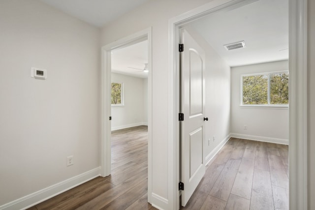 hallway featuring dark wood-type flooring