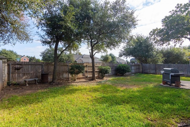 506 Fern Ct, Cedar Park, TX 78613 - view of fenced backyard