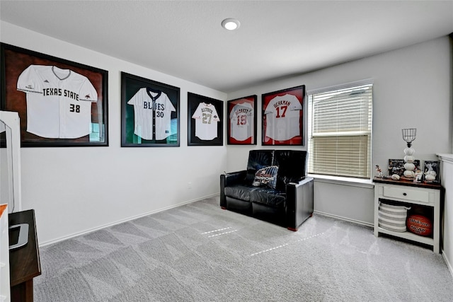 living area with light colored carpet