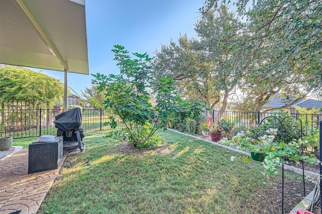 view of yard featuring a patio area