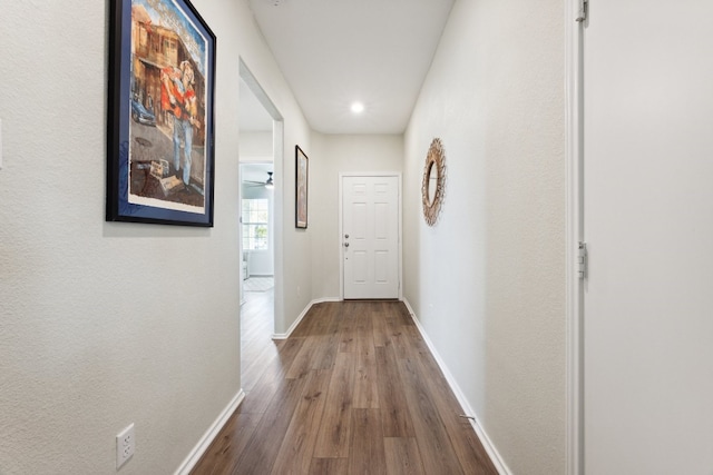 hall featuring wood-type flooring