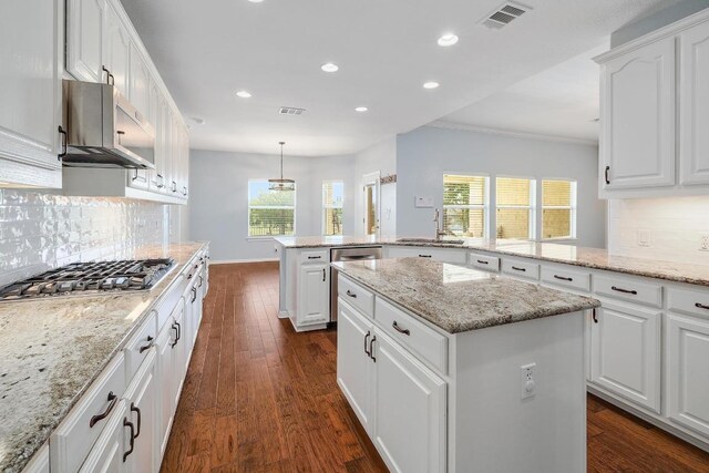 1900 County Road 245, Georgetown, TX 78633 - kitchen featuring appliances with stainless steel finishes, exhaust hood, tasteful backsplash, a kitchen island, and recessed lighting