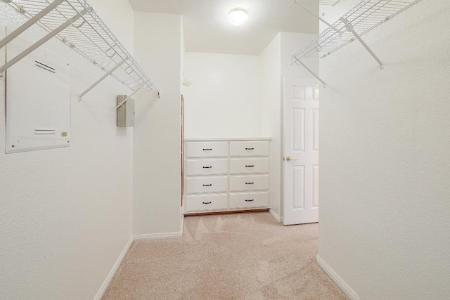 1900 County Road 245, Georgetown, TX 78633 - walk in closet with light carpet