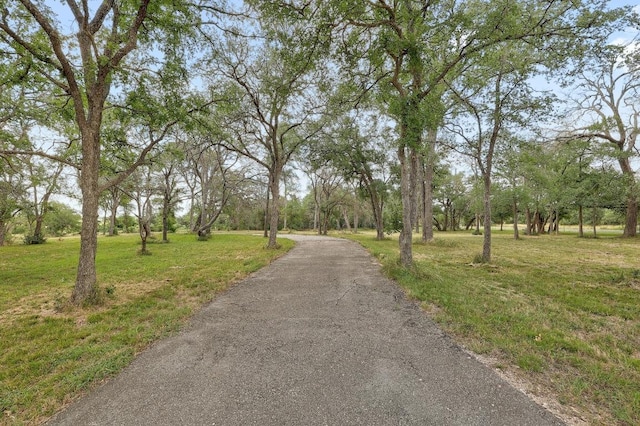 1900 County Road 245, Georgetown, TX 78633 - view of road