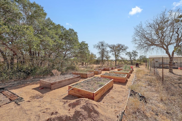 1900 County Road 245, Georgetown, TX 78633 - view of yard featuring a garden