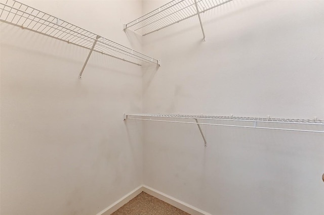 1201 Grove Blvd Unit 2403, Austin, TX 78741 - walk in closet with carpet floors