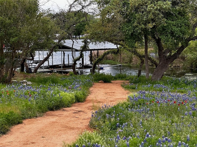 view of yard with a water view