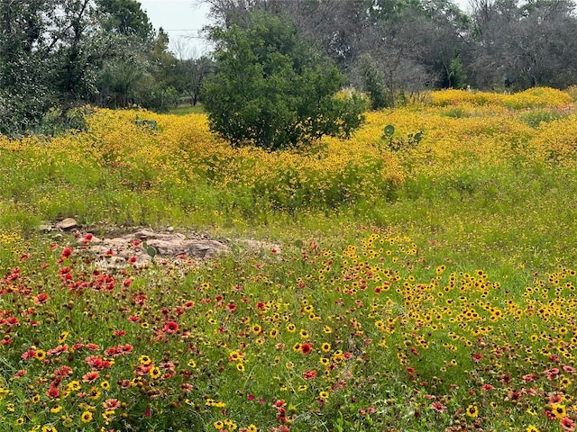 view of landscape