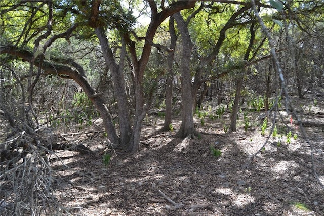 223 Pleasant Valley Rd, Wimberley, TX 78676 - photo 4