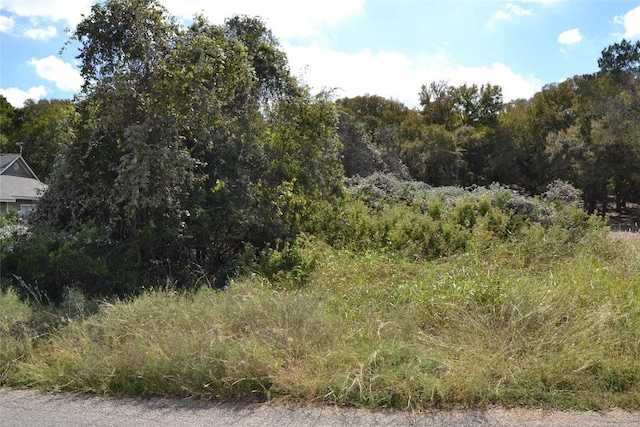 223 Pleasant Valley Rd, Wimberley, TX 78676 - photo 5