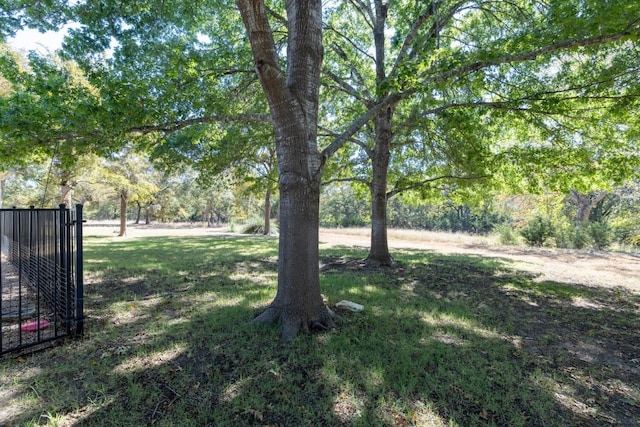 133 Crystal Springs Dr, Georgetown, TX 78633 - photo 36