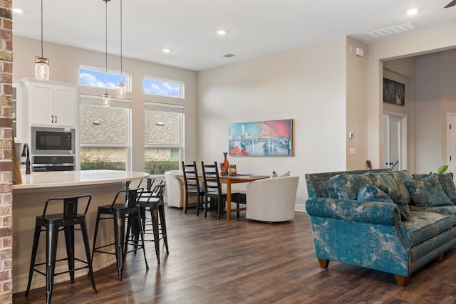 living room featuring dark hardwood / wood-style flooring