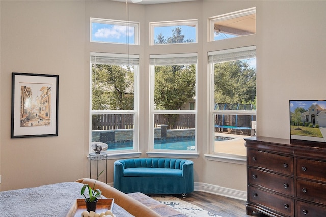 bedroom featuring light hardwood / wood-style flooring and multiple windows