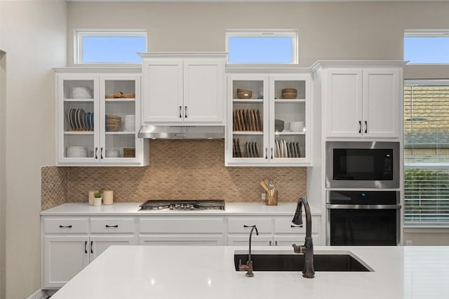 925 Overstreet Ln, Leander, TX 78641 - kitchen featuring stainless steel appliances, under cabinet range hood, a sink, and light countertops
