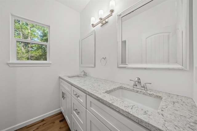 bathroom with vanity and wood-type flooring