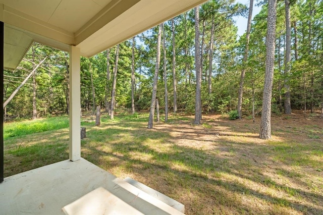 view of yard featuring a patio area