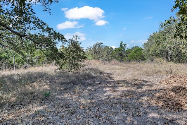 320 Pope Bnd S, Cedar Creek, TX 78612 - view of wooded area