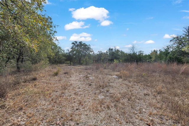 320 Pope Bnd S, Cedar Creek, TX 78612 - view of undeveloped land