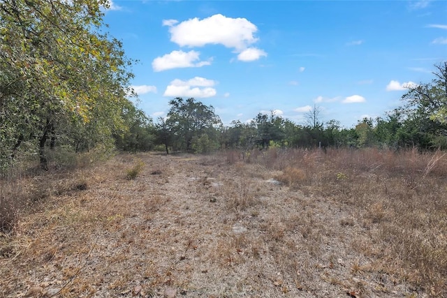 320 Pope Bnd S, Cedar Creek, TX 78612 - photo 37
