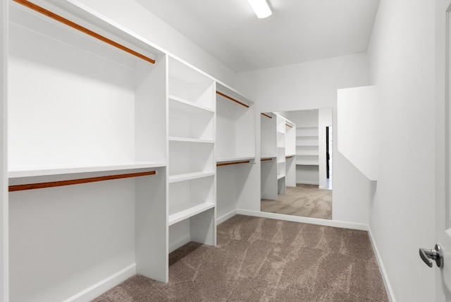 walk in closet with light colored carpet