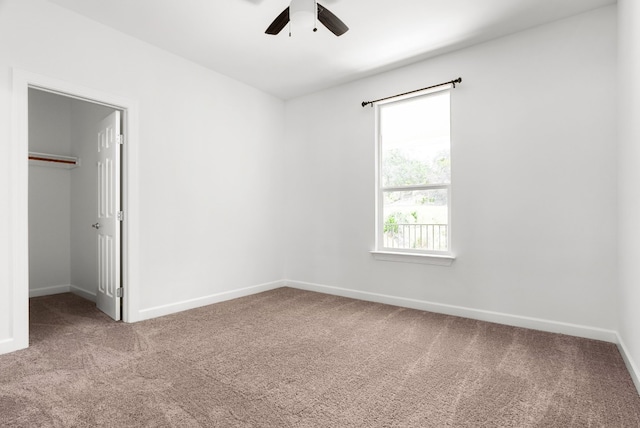 unfurnished bedroom featuring a closet, ceiling fan, carpet flooring, and a walk in closet