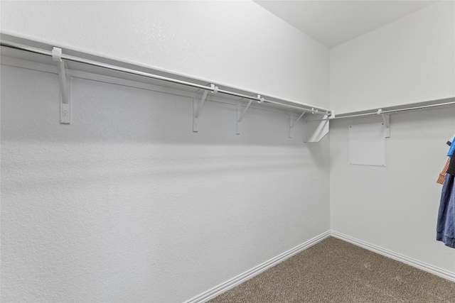 walk in closet with carpet