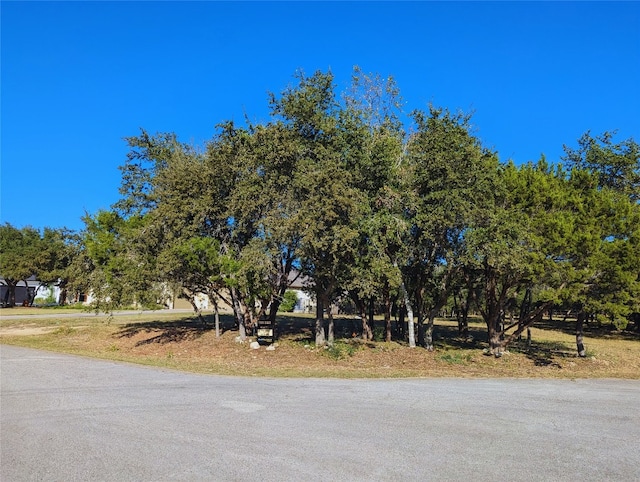 541 Onion Creek Ln, Driftwood TX, 78619 land for sale