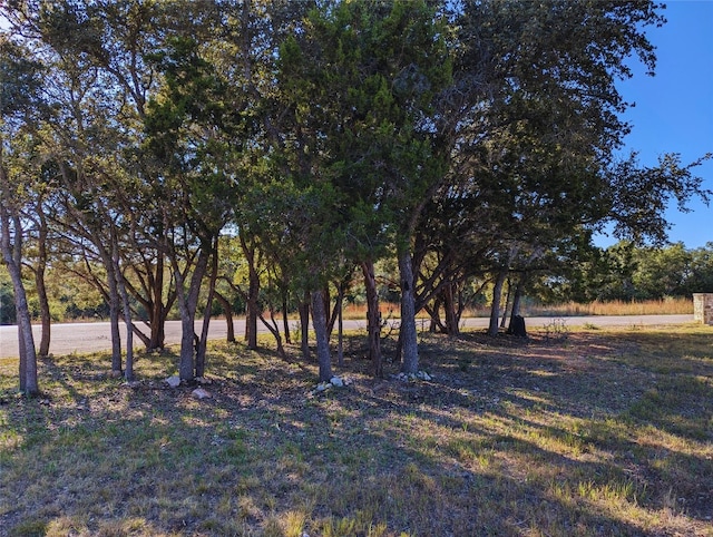 Listing photo 3 for 541 Onion Creek Ln, Driftwood TX 78619