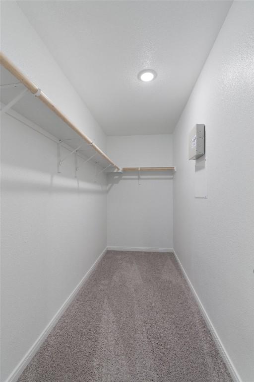 walk in closet featuring carpet flooring