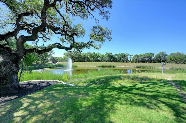 view of water feature