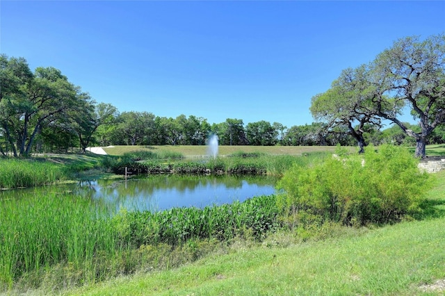 view of water feature