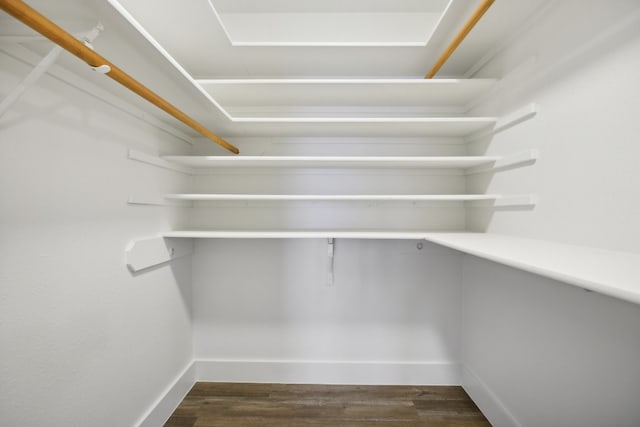 spacious closet with dark wood-type flooring