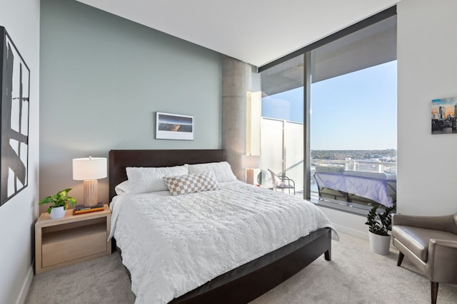 view of carpeted bedroom