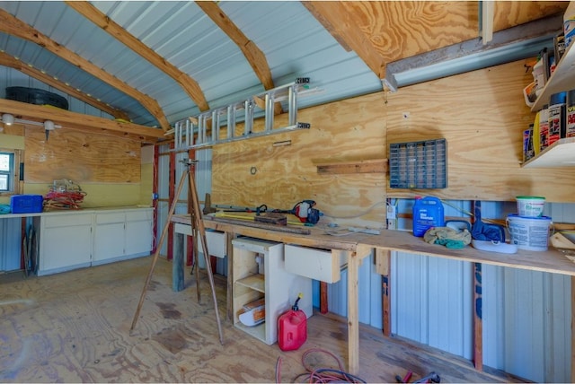 miscellaneous room with vaulted ceiling