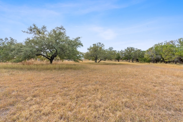 view of landscape featuring a rural view