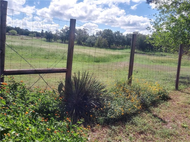 view of yard with a rural view