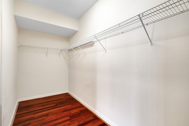 spacious closet featuring dark hardwood / wood-style floors