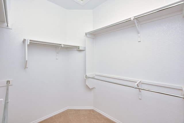 spacious closet with light colored carpet