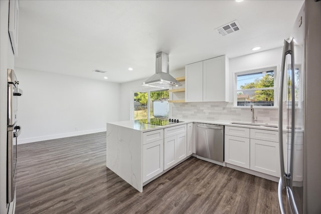 kitchen featuring exhaust hood, white cabinetry, dark wood-type flooring, and stainless steel appliances