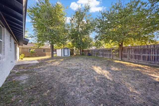 view of yard with a storage unit