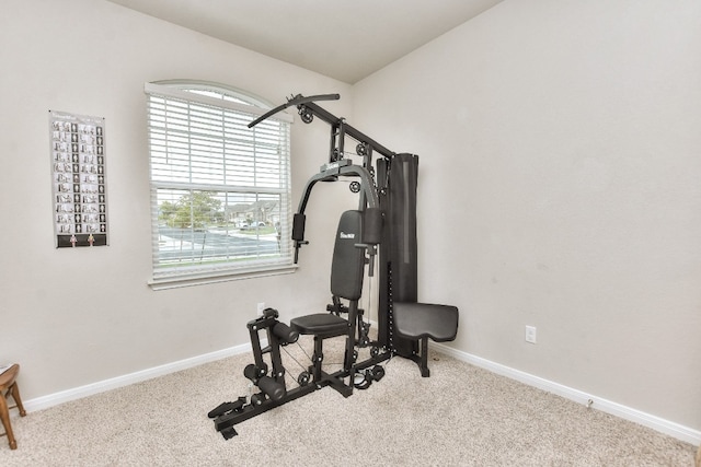 exercise area with light colored carpet