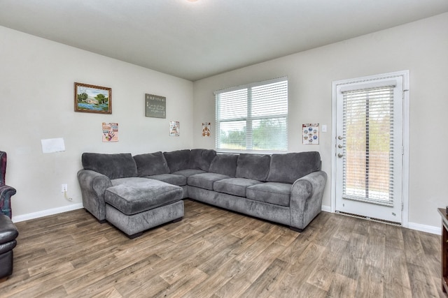 living room with a healthy amount of sunlight and wood-type flooring