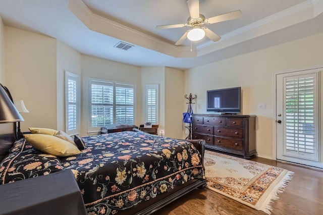 bedroom with access to exterior, multiple windows, a tray ceiling, and ceiling fan