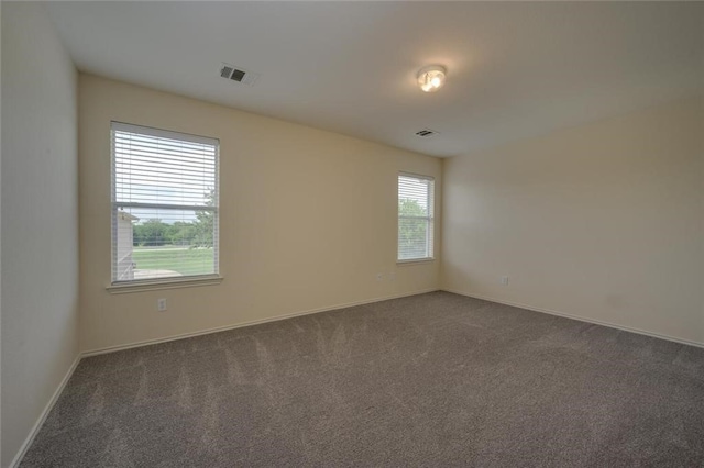 carpeted spare room with a healthy amount of sunlight