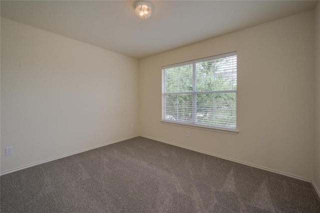 unfurnished room featuring carpet