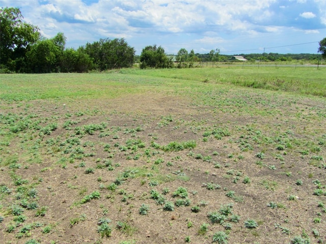 view of yard with a rural view